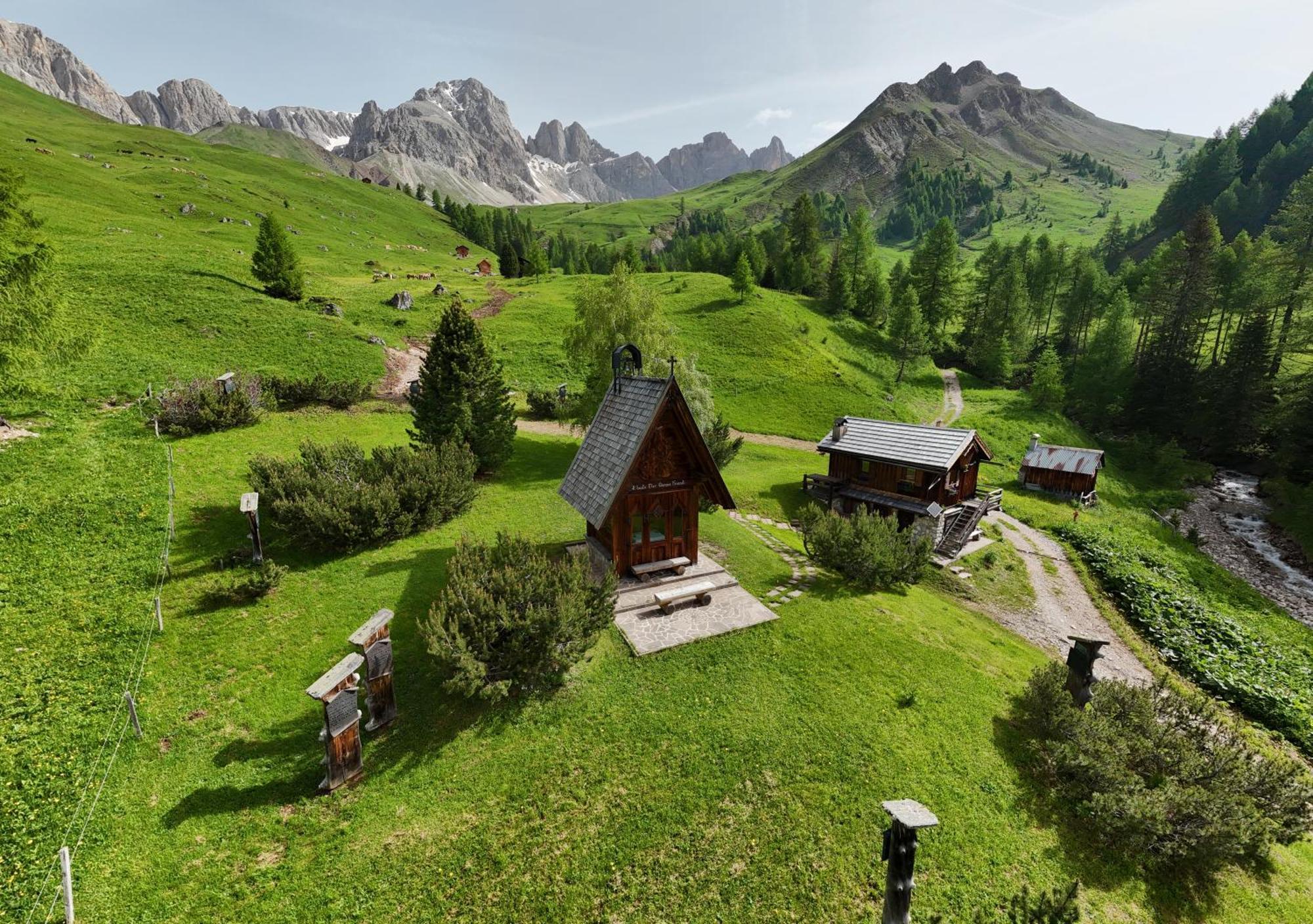 Rifugio Flora Alpina 호텔 파소 산 펠레그리노 외부 사진